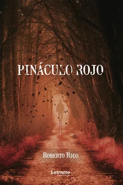 Roberto Rico Pináculo Rojo обложка книги