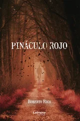 Roberto Rico - Pináculo Rojo