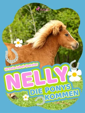 Ursula Isbel-Dotzler Nelly - Die Ponys kommen обложка книги