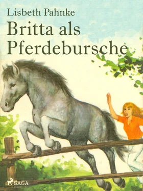 Lisbeth Pahnke Britta als Pferdebursche обложка книги