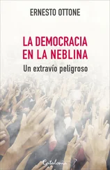 Ernesto Ottone - ﻿La democracia en la neblina