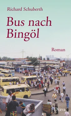 Richard Schuberth Bus nach Bingöl обложка книги