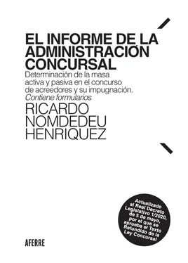 Ricardo Nomdedeu Henriquez El informe de la Administración Concursal обложка книги