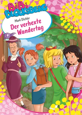 Mark Stichler Bibi Blocksberg - Der verhexte Wandertag обложка книги