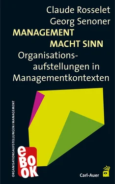Claude Rosselet Management Macht Sinn обложка книги