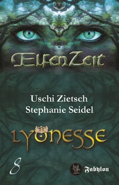 Uschi Zietsch Elfenzeit 8: Lyonesse обложка книги