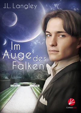J.L. Langley Im Auge des Falken обложка книги