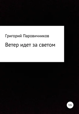 Григорий Паровичников Ветер идет за светом обложка книги