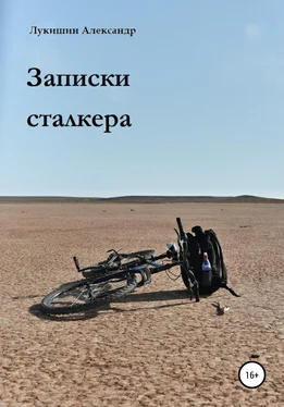 Александр Лукишин Записки сталкера обложка книги