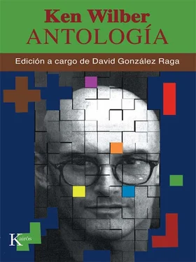 Ken Wilber Antología обложка книги