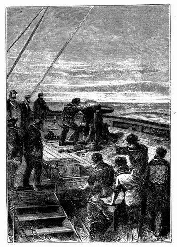 The narwhal seemed motionless perhaps tired with its days work it slept - фото 10