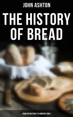 John Ashton The History of Bread - From Prehistoric to Modern Times обложка книги