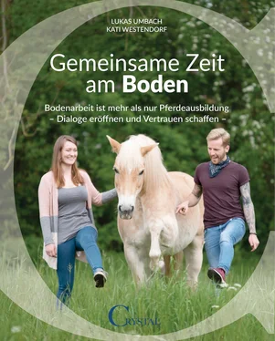 Lukas Umbach Gemeinsame Zeit am Boden обложка книги