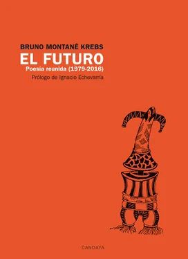 Bruno Montané Krebs El futuro. Poesía Reunida (1979 - 2016) обложка книги