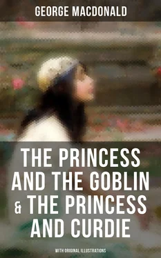 George MacDonald The Princess and the Goblin & The Princess and Curdie (With Original Illustrations) обложка книги