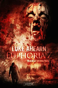 Luke Ahearn TRANSFORMATION (Euphoria Z 2) обложка книги