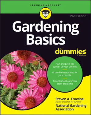 Steven A. Frowine Gardening Basics For Dummies обложка книги