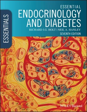 Richard I. G. Holt Essential Endocrinology and Diabetes обложка книги