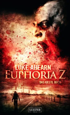 Luke Ahearn EUPHORIA Z обложка книги