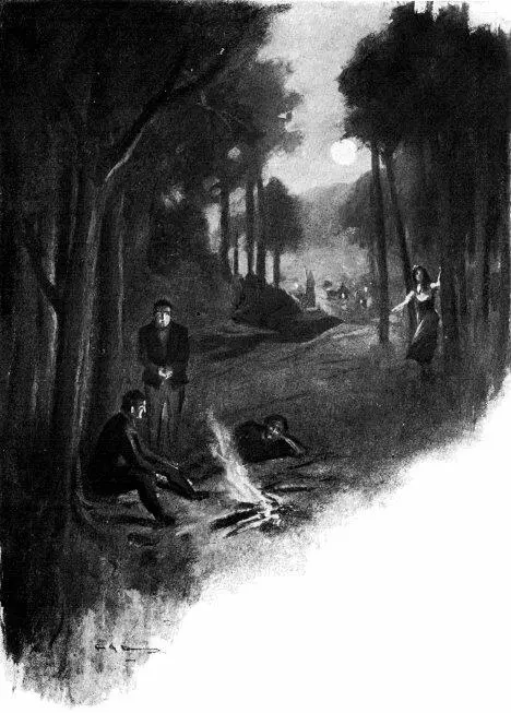 IN CADDAM WOOD The squirrel slid down the fir and was gone The axes blows - фото 30