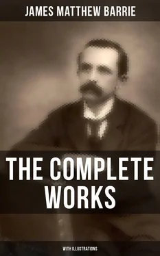 James Matthew Barrie The Complete Works of J. M. Barrie (With Illustrations) обложка книги