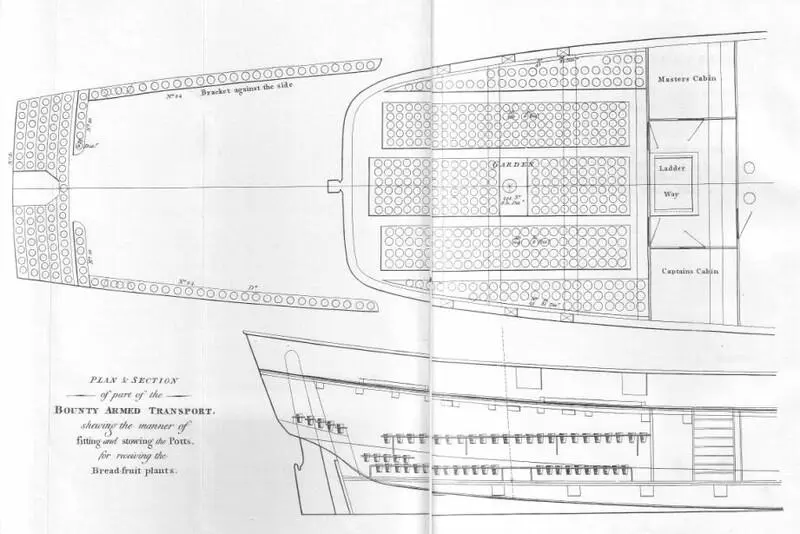 Plan and Section of Part of the Bounty Armed Transport showing the manner of - фото 2