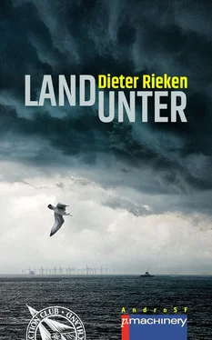 Dieter Rieken LAND UNTER обложка книги