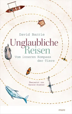 David Barrie Unglaubliche Reisen обложка книги