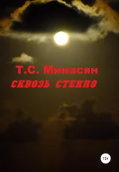 Татьяна Минасян - Сквозь стекло