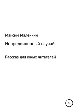 Максим Малёнкин Непредвиденный случай обложка книги