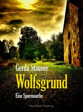 Gerda Stauner Wolfsgrund обложка книги