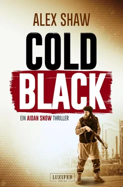 Alex Shaw COLD BLACK обложка книги