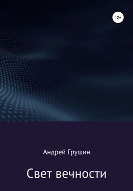 Андрей Грушин Свет вечности обложка книги