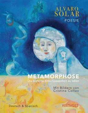 Alvaro Solar Metamorphose обложка книги