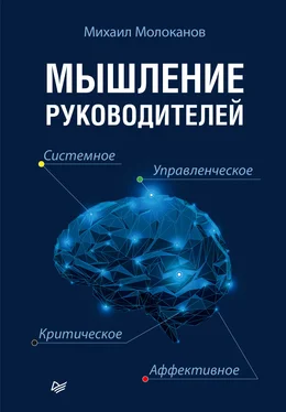 Михаил Молоканов Мышление руководителей: системное, управленческое, критическое, аффективное обложка книги