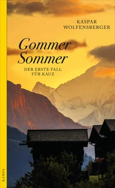 Kaspar Wolfensberger Gommer Sommer обложка книги