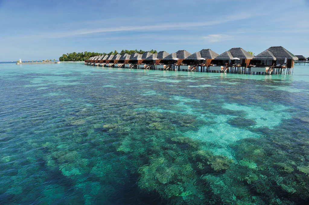 Lo más destacado de las Maldivas Barrera de arrecife de coral Ayada - фото 3