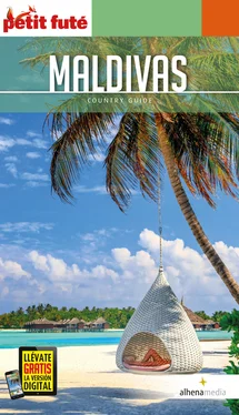 vvaa Maldivas обложка книги