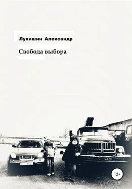 Александр Лукишин Свобода выбора обложка книги