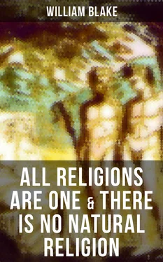 William Blake ALL RELIGIONS ARE ONE & THERE IS NO NATURAL RELIGION обложка книги