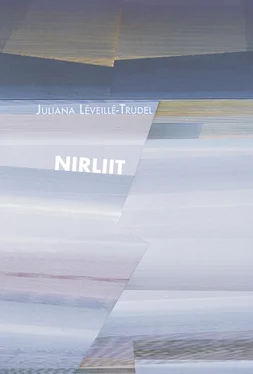 Juliana Léveillé-Trudel Nirliit обложка книги