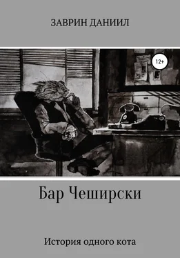 Даниил Заврин Бар Чеширски. История одного кота обложка книги