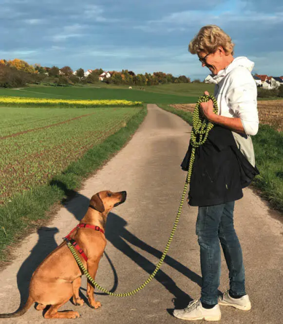 Gassirunden sind eine gute Gelegenheit die Kommunikation zwischen Mensch und - фото 14