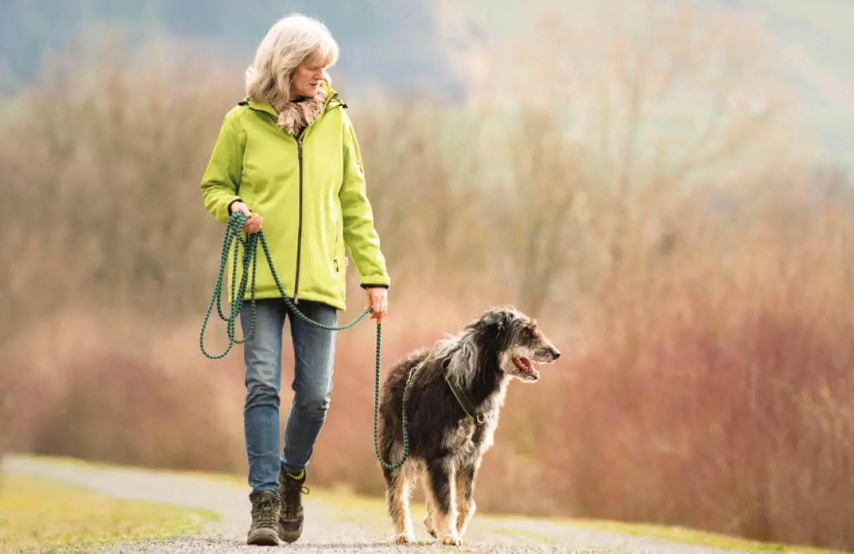 Gassirunden sollten für Hund und Mensch schön und entspannend sein Foto - фото 10