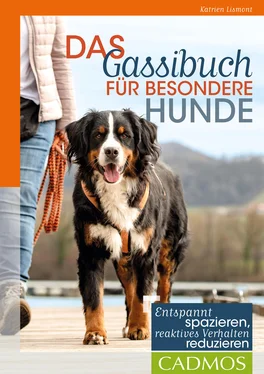 Katrien Lismont Das Gassi-Buch für besondere Hunde обложка книги