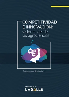 Liliana Chacón Jaramillo Competitividad e innovación обложка книги