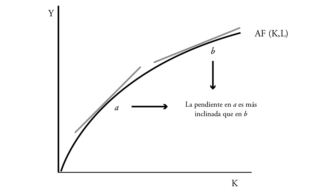 RENDIMIENTOS MARGINALES DECRECIENTES EN EL FACTOR TRABAJO En el gráfico en - фото 16
