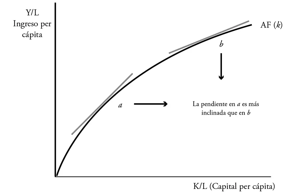 Naturalmente la función muestra la presencia de una productividad marginal que - фото 20