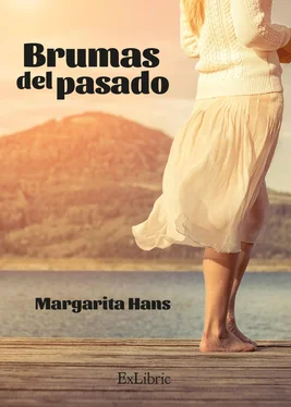 Margarita Hans Palmero Brumas del pasado обложка книги