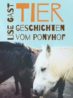 Lise Gast Tiergeschichten vom Ponyhof обложка книги